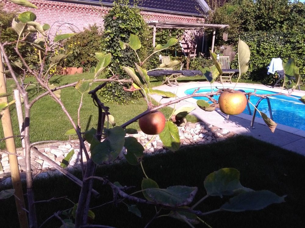 Bed & Breakfast D'hotes Beesel Reuver